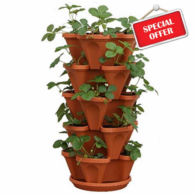 Mr. Stacky 5-Tier Strawberry Planter Pot