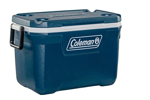 large cool box with 49 L capacity