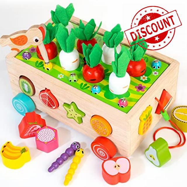 Bravmate Toddlers Montessori Educational Toys for Kids Age 2 3 4 Years Old