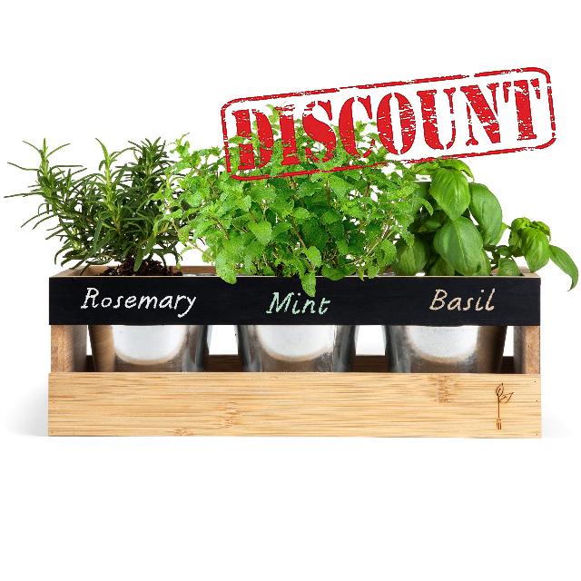Farmhouse Kitchen Window Planter Box - Succulent