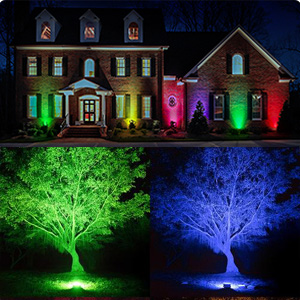LED Landscape Light