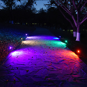 low voltage landscape light