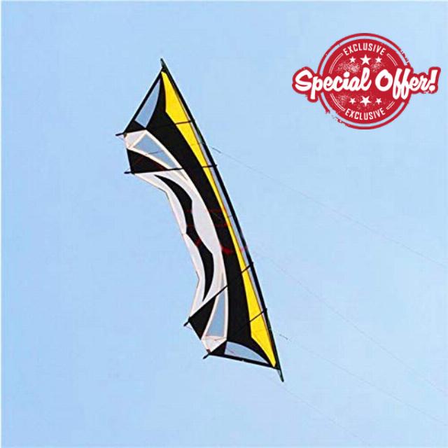 Kites Large Quad Line Stunt Kites For Adults Kite Line Outdoor Toys Flying Windsurfing Wind Sock Stunt Step Eagle Bird