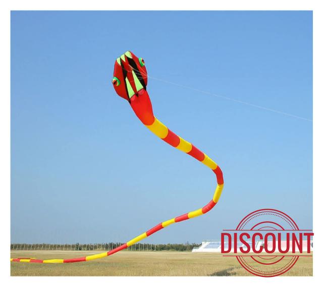 MRXFN kids toys 3D Kites Flying Snake Kites for Adults Kites Inflatable Kite Dragon Flight Kite Windsurfing Professional (Color : Redyellow)