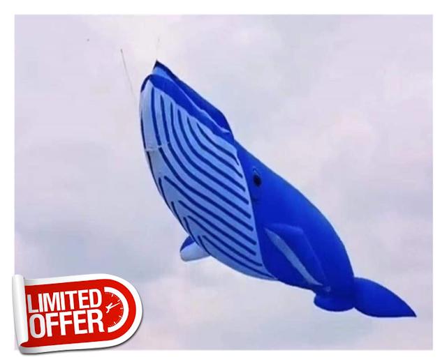 MRXFN kids toys 20m Kite Giant Kite Flying Nylon Fabric Professional Kite