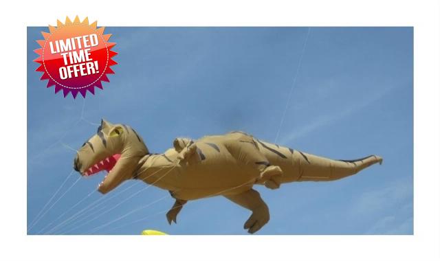 MRXFN kids toys 10M Soft Big Kite Flying Dinosaur