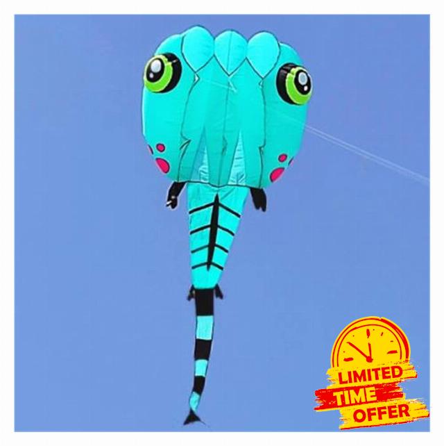 MRXFN kids toys New Tadpole Kites Flying Inflatable Kite Nylon Kites for Adults Kite Factory Professional Wind Kites (Color : 20sqm-02)