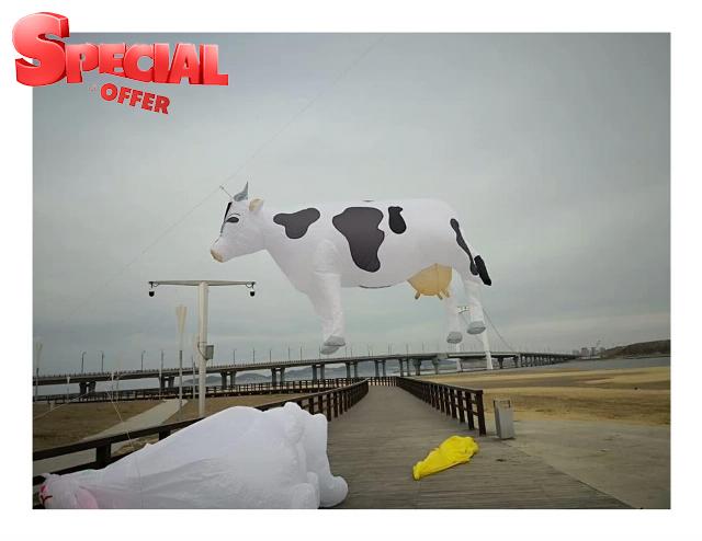 MRXFN kids toys 3.2M Large Kite