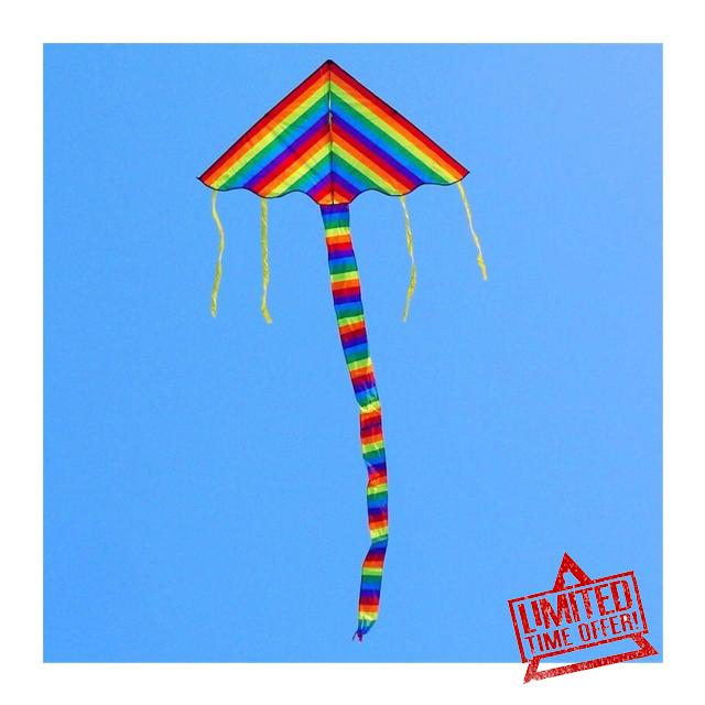 Rainbow Kite Large Delta Kite for Adults Kite Toys Flying Eagle Kite Board Power Kite Reel weifang Kite Factory present (Color : 100 Pcs)