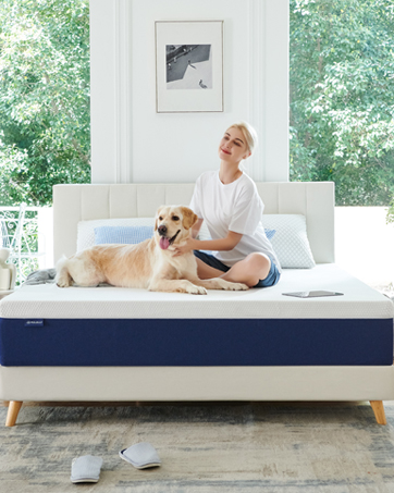 Molblly Memory Foam Mattress in box Breathable & comfortable Supportive Skin-friendly Cloth