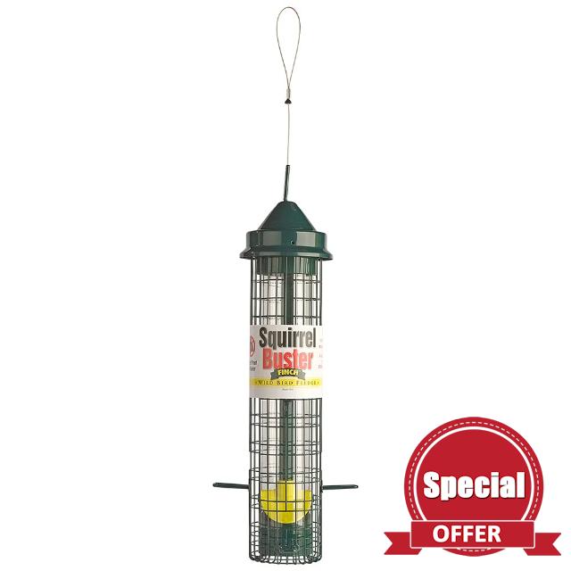 Squirrel Proof Bird Feeder - Squirrel Buster Finch - Marauders off! Guaranteed Squirrel Proof/Metal