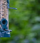 Flo Festival Bird feeder for wild birds bird food easy clean blue
