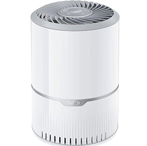 HEPA Air Purifiers Air Cleaner For Smoke Pollen Dander Hair Smell Portable Air Purifier with Sleep Mode Speed Control For Bedroom Office Living Room
