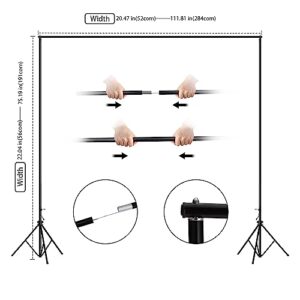 10 Inch Backdrop Stand Kit with 4 Backdrop Clips