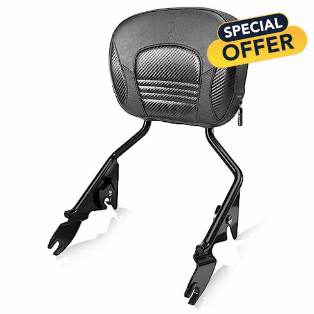 Eumti Detachable Sissy Bar Upright For Harley Touring 2009-2023