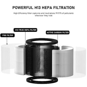 3-In-1 True HEPA with High-Efficiency Activated Carbon