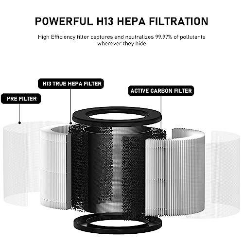 3-In-1 True HEPA with High-Efficiency Activated Carbon