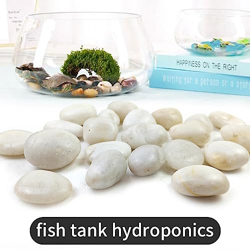 Polished Pebbles for Plants.