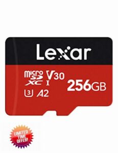 Lexar 256GB Micro SD Card