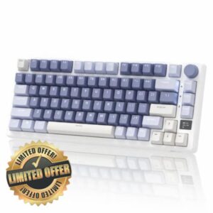 RK ROYAL KLUDGE M75 Mechanical Keyboard