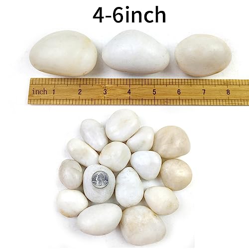 Polished Stones for Landscaping