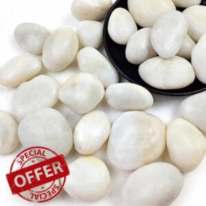 10LB White River Rocks - 2-3 inch High Polished Decorative Pebbles