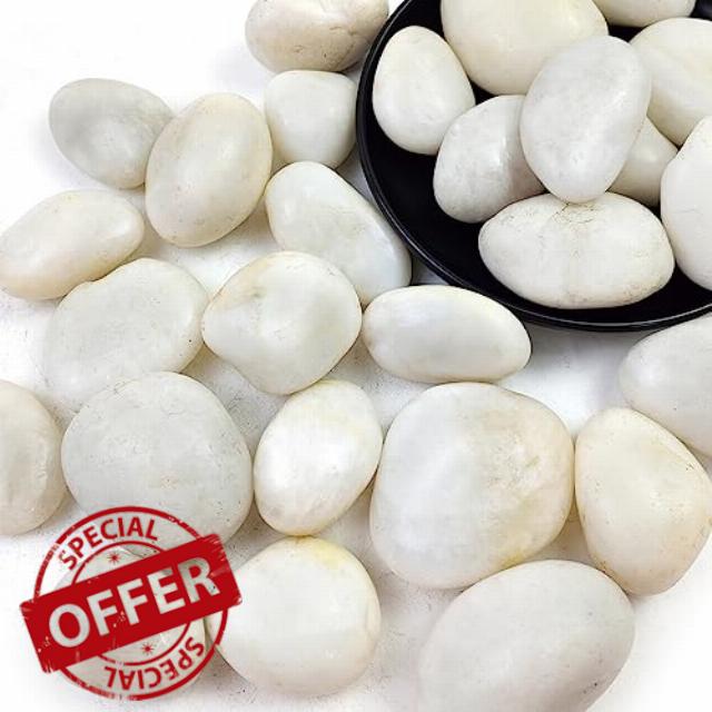 10LB White River Rocks - 2-3 inch High Polished Decorative Pebbles
