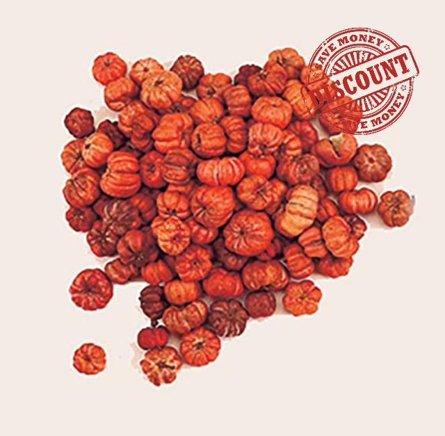 Worth Imports Natural Miniture Orange Pumpkin