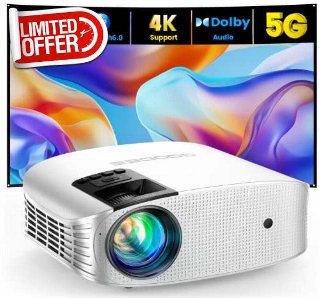 Projector