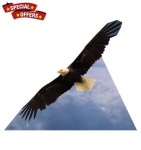 Cardboard People American Eagle Life Size Cardboard Cutout Standup - Made in USA