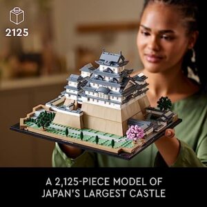 Build & Display this Collectible Model for Adults