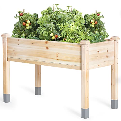 48”L X 24”W