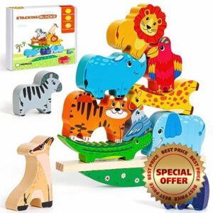 iValea Toys for 2 3 4 5 Year Old Boy Girl Gifts