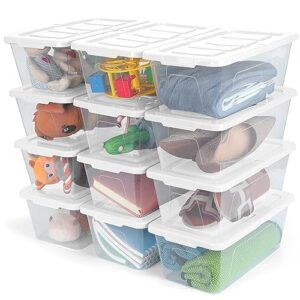 Stackable Shoe Organizer Boxes Storage Baskets for Organizing Closet Organizers and Storage