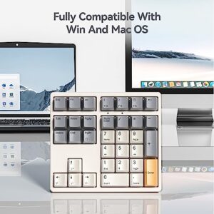 White Backlit Numeric Keypad with PBT Keycaps Wired Standard 34 Keys Numpad for TKL Keyboards Laptop PC(Brown Switch)