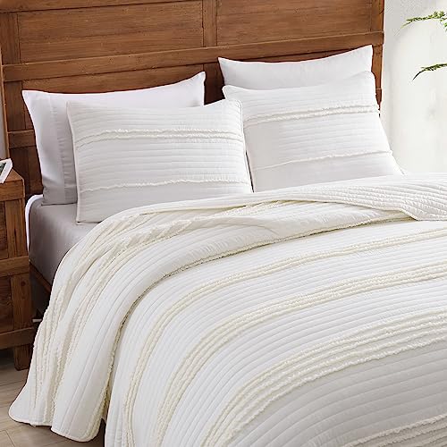 2 Pillow Shams)