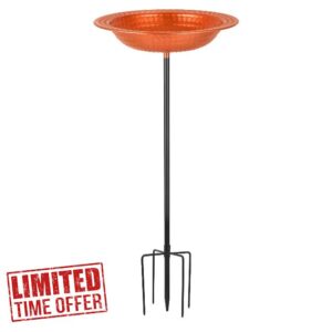 Metal Bird Bath Birdbaths Bowl
