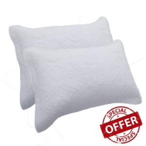 ERNZI 100% Cotton Quilted Pillow Shams Set of 2