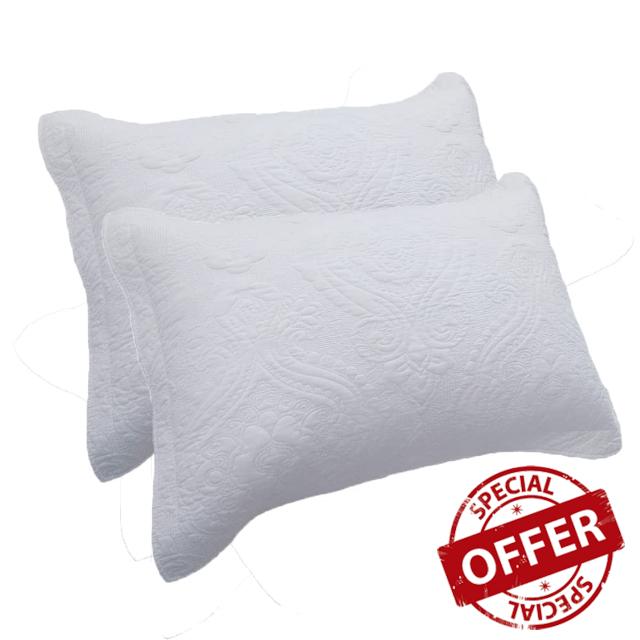 ERNZI 100% Cotton Quilted Pillow Shams Set of 2