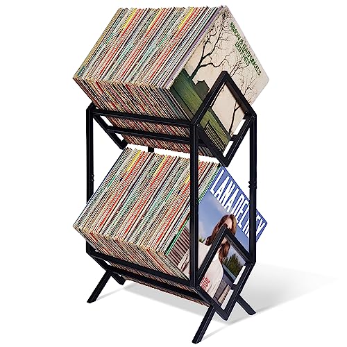 Vinyl Record Storage