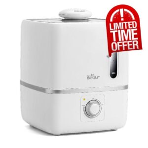 Bear humidifiers JSQ-230WB