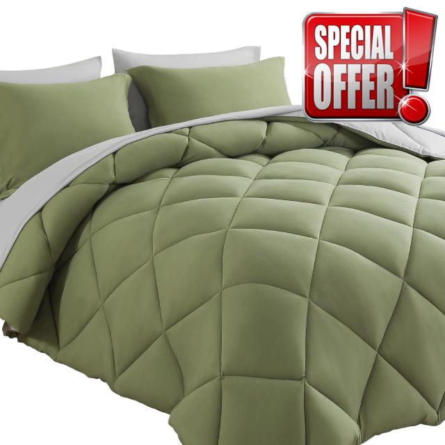 Cosybay Bed in a Bag Queen Comforter Sets 7pcs All Season Solid Down Alternative Bedding Sets Sage Green and Grey with Comforter