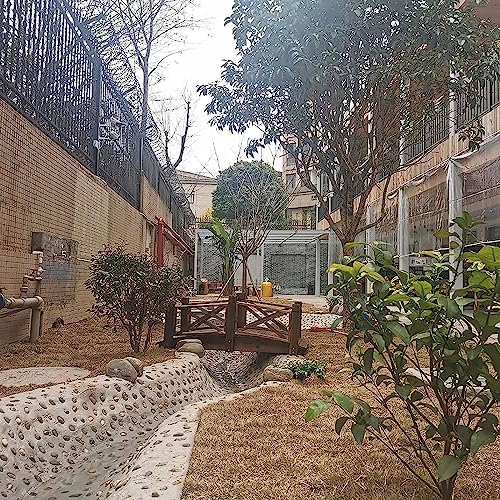 Sidewalk Koi Pond Dry Creek Wooden Arched Footbridge