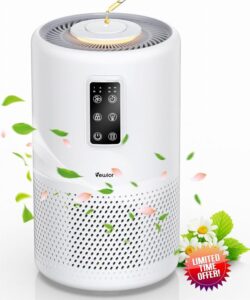 Air Purifiers for Home Large Room