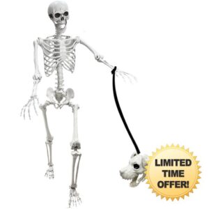 Lodou 2 Pack Posable Life Size Human Skeletons