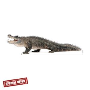 MAMMA Kiddie - Life Size Cardboard Cutout Standup | Waterproof | Animals - Crocedile