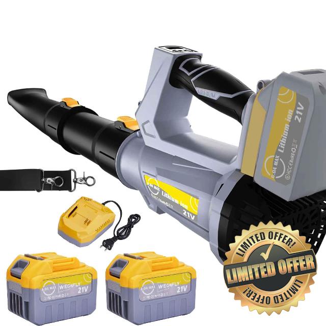 WeGofly Cordless Leaf Blower - Lightweight Electric Blower with 2 Batteries & Charger - 20V Battery Powered Small Handheld Blower for Lawn Care (21V 6.0A Battery x2)