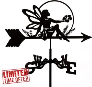 Stainless Steel Fairy Weather Vane with Roof Mount