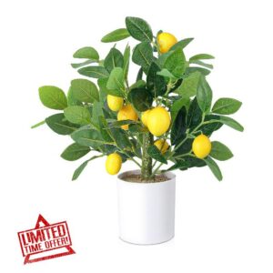 Yahallow Artificial Lemon Tree for Lemon Decor