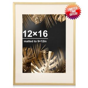 Fixwal 12 x 16 Aluminum Picture Frame Set of 1 Metal Gold Frame Tempered Glass with Mat for Wall Display